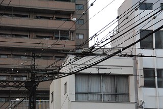 image-18 愛媛県 伊方発電所・松山太陽光発電所(2013.02.13)