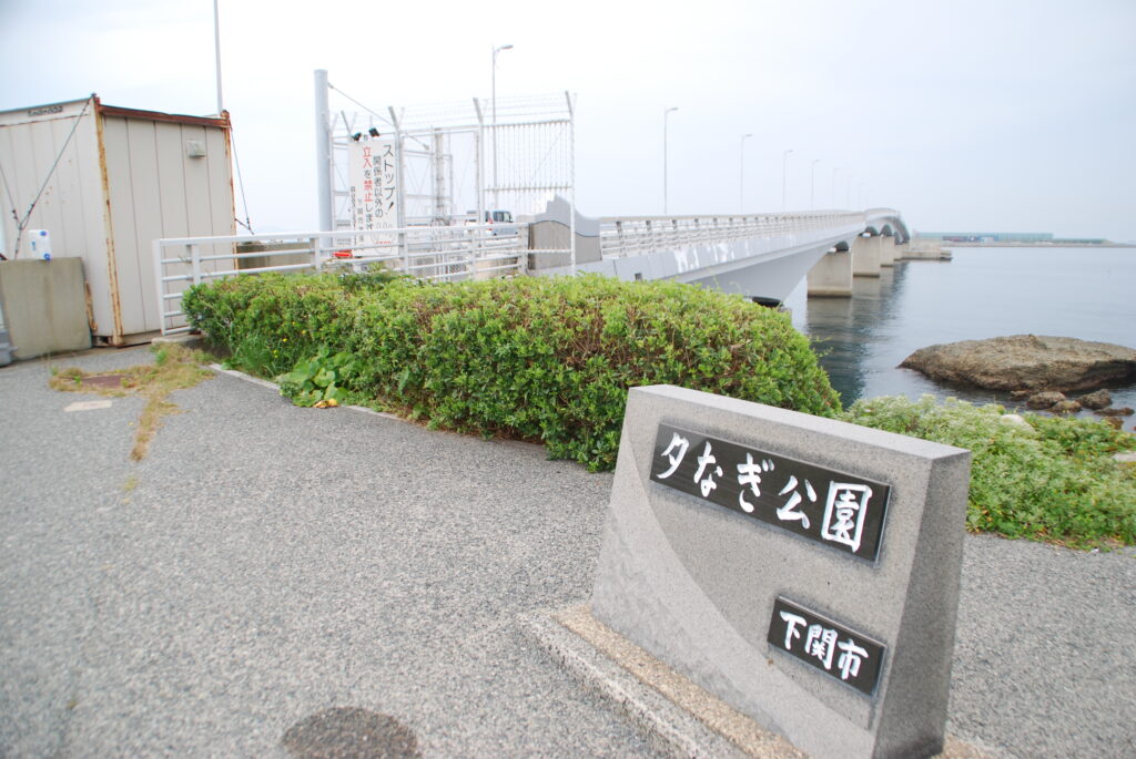 DSC_4815-1024x685 北九州の風力発電(2024.06.17)